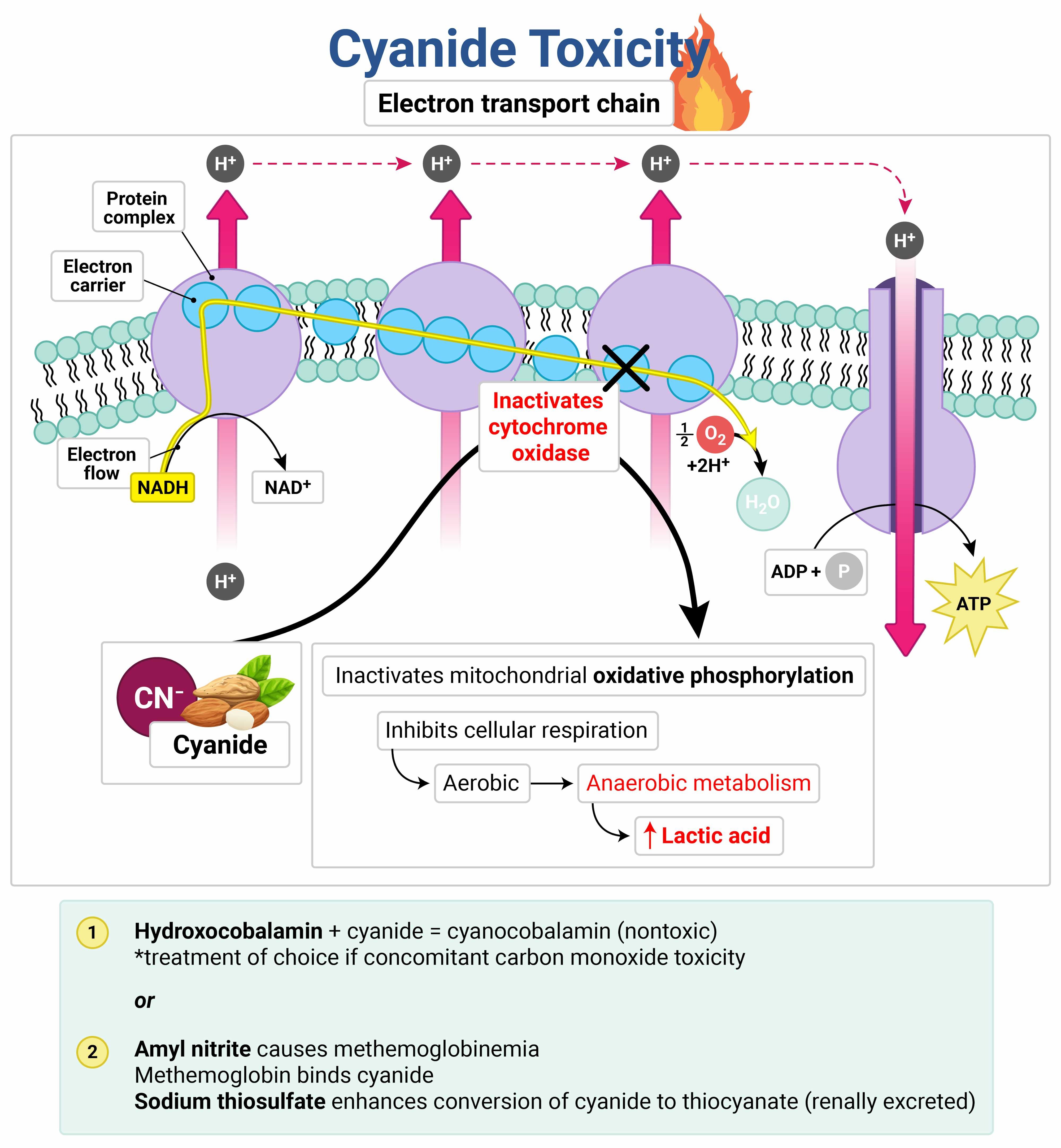 myemcert-question-16-rosh-review